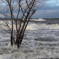 Latvijā izsludina brīdinājumus par vēju, sniegputeni un augstu ūdens līmeni