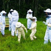 Пчелы, Гайзинькалнс и деревенская идиллия: почему Сандрис вернулся в родное Видземе
