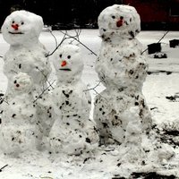 Foto: Sniegavīru ģimenīte izbauda pēdējos ziemas mirkļus