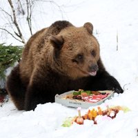 Lācenei Ilzītei 15!