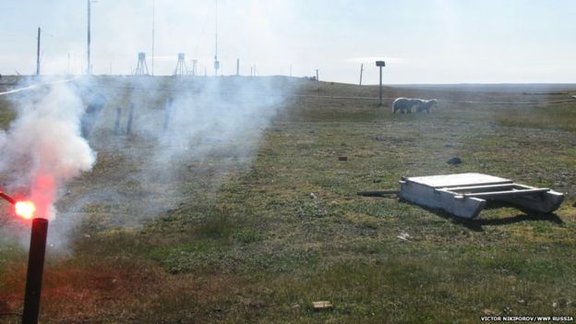 Polārlāči apdraud Vaigača salas meteostaciju - 1