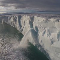 ВИДЕО: Волшебная, суровая и не боящаяся человека Арктика