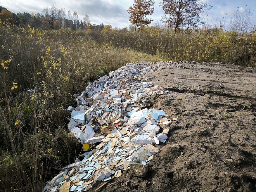 ФОТО. В лесополосе найдены две незаконных свалки строительного мусора