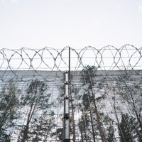 Определены компании, которые построят забор на приоритетном участке латвийско-российской границы