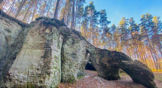 Lielā Ellīte – unikāla ala ar avotu un grandiozām arkām