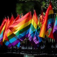 Правящая партия внесла в парламент Грузии законопроекты о запрете "пропаганды" ЛГБТ и трансгендерного перехода