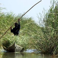 Foto: 'Islāma valsts' nogriež ūdeni Irākas dienvidu auglīgajiem purvājiem