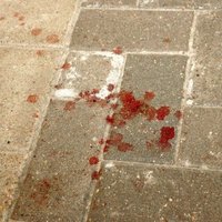 Убийство в Мюнстере: депутаты советуют Латвии не вмешиваться