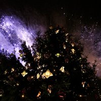 В Европе усилены меры безопасности на рождественские и новогодние праздники
