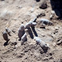 Irākā atrasts kārtējais 'Daesh' nogalināto jezīdu masu kaps