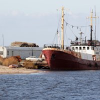 Atjaunos reņģu zveju Rīgas jūras līča Dienvidu rajona piekrastes ūdeņos