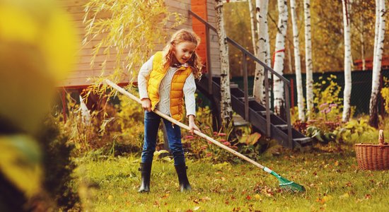 Aicina sākt gatavoties 'Labo darbu nedēļai'