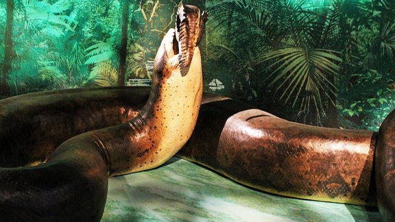 Titanoboa, čūska