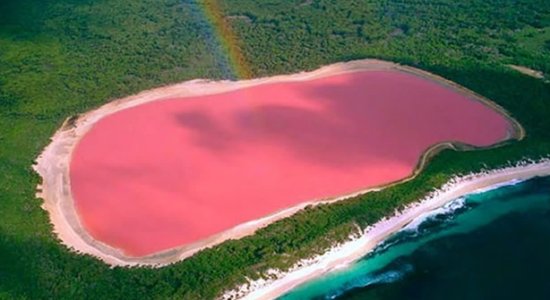 ФОТО: Розовые воды озера Хиллер