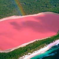 ФОТО: Розовые воды озера Хиллер