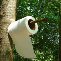 Rīgas dome bērnudārziem uzdod atskaitīties par tualetes papīra patēriņu; vadītāji sašutuši