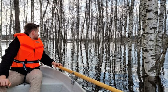 ФОТО, ВИДЕО. Прогулка на лодке среди берез на затопленных лугах поймы Двиете