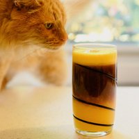 Fotorecepte: kafija ar apelsīnu sulu laiskiem brīvdienu rītiem