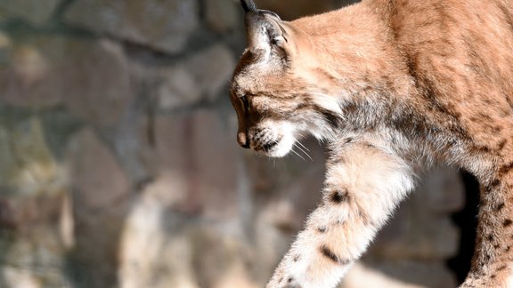 Naktī laboti astoņi 31. janvāra temperatūras rekordi; piektdiena būs apmākusies