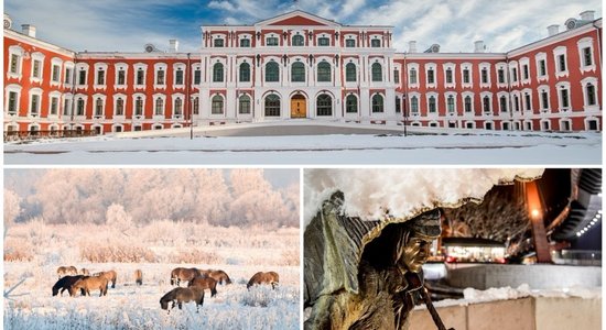 Не только Фестиваль ледовых скульптур. Топ-5 зимних развлечений в Елгаве