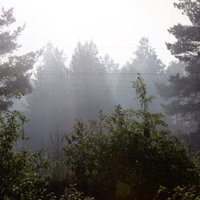 Latviju var sasniegt jauni dūmu mākoņi; brīdina par gaisa kvalitāti