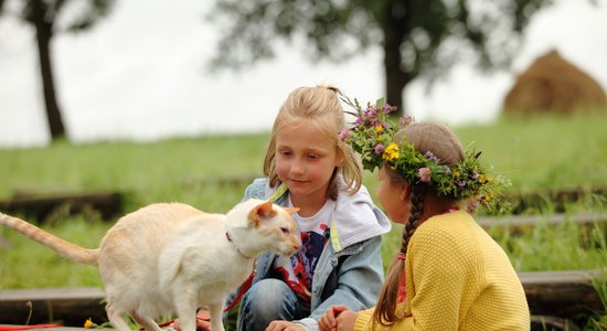 Pieaugušo loģikai nav vietas. Filmas 'Vectēvs, kas bīstamāks par datoru' apskats