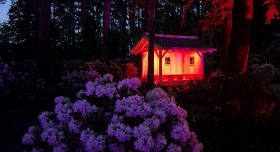 Nedēļas nogalē Babītes rododendru dārzs vakaros atdzīvosies maģiskās gaismās