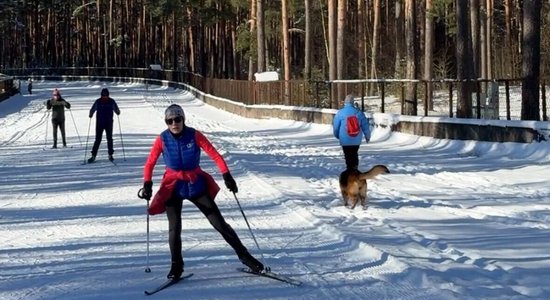 ВИДЕО: В Бикерниекском лесу в Риге открылась лыжная трасса