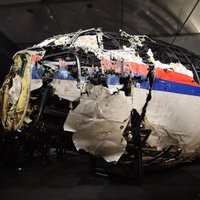 Нидерланды не смогли расшифровать российские данные о крушении лайнера MH17