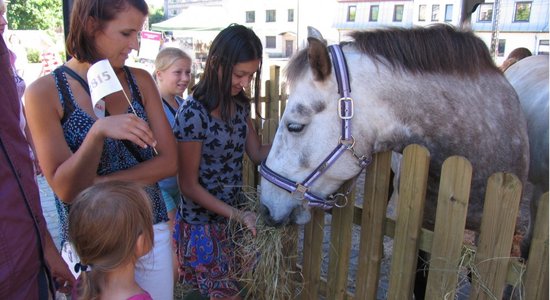 Foto: Mazā Kalna ielā pulcējas zirgi un prasmes rāda bruņinieki. Neiztiek bez kritiena