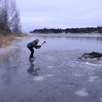 Video: Slidotāji Zviedrijā izglābj ledū ielūzušu alni