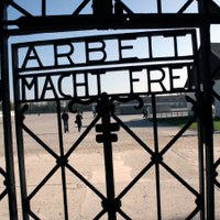 Неизвестные устроили акцию протеста у ворот Освенцима: убили овцу, разделись и заковалиcь в цепи