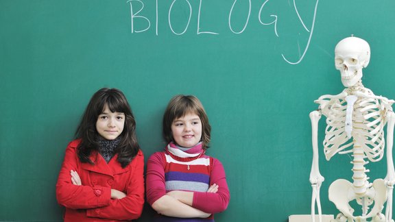 skola bioloģija skolnieces skelets klase tāfele school girls biology