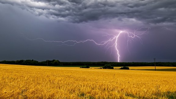 pļava zibens tīrums, vasara, negaiss, pērkons, labība, raža