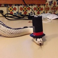 Jauns stulbings – čūskas ar smieklīgām cepurēm