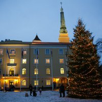 Rīgas Ziemassvētku eglītes maksās 18 tūkstošus eiro