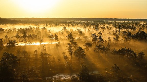 Miglas rīts Lielajā Ķemeru tīrelī - 15