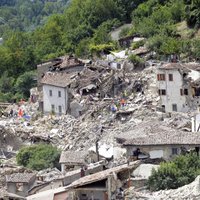32 dienas pēc zemestrīces Itālijā no gruvešiem izglābts kaķītis