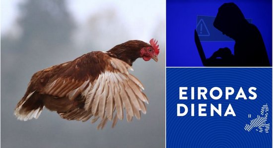 'Eiropas diena': Eiropa pret kiberdraudiem un dzīvniekiem sprostos