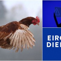 'Eiropas diena': Eiropa pret kiberdraudiem un dzīvniekiem sprostos