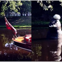 Aculiecinieka foto: Rīgas kanālā parādījies ūsains ronis