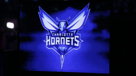 Bobcats Hornets Logo Basketball.JPEG-06060