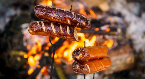 Uz mežu pēc eglītes! Pieci noderīgi ieteikumi neaizmirstamam Ziemassvētku piknikam