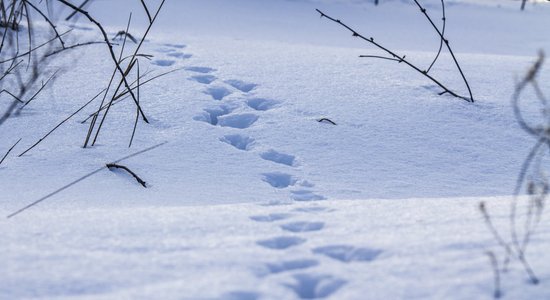 Mākoņkalna sniegotās takas veiksmīgi atbrīvotas no lielajām sniega kupenām