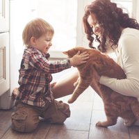 Pieci galvenie mīti par bērna alerģiju pret dzīvniekiem