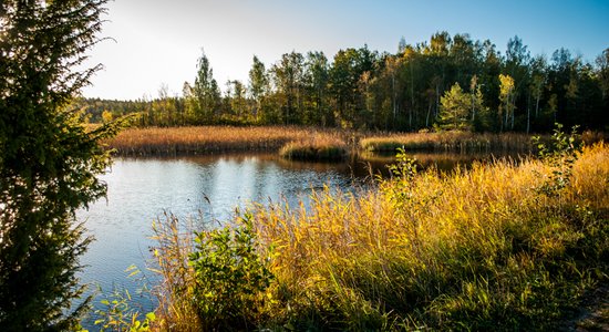 Pārgājieni, velobraucieni un pat restorāni mežā: aicina uz ceļotāju dienu Ķemeros