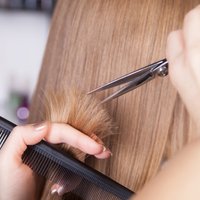 В Литве откроются парикмахерские, салоны красоты и некоторые магазины