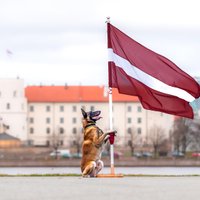 Foto: Patriotiskais drošības iestāžu kinologu sveiciens 18. novembrī