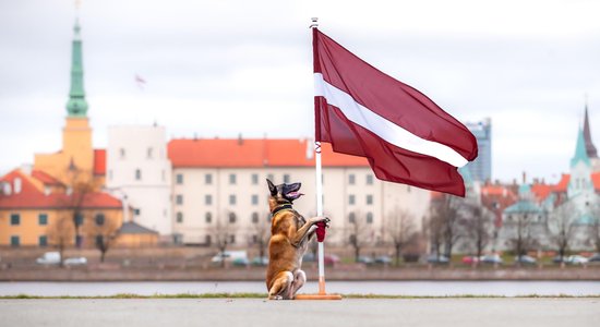 Foto: Patriotiskais drošības iestāžu kinologu sveiciens 18. novembrī