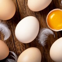 Cik ilgi var glabāt olas?